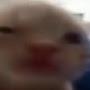 @nuclearhyper-implosion