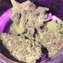 @Kush-is-my-cologne