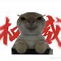 @也不行啊神同菜就多练