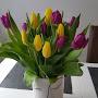 @elen7008-f3m
