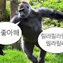 @응응-m3r