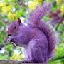 @alidesrochers1066