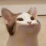@wndms6