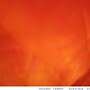 @Orangemangoood