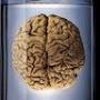 @DoctorBiobrain