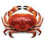 @crabman1398