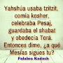 @omar4moshe