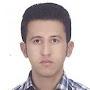 @hamidzarei2138