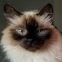 @ericpouliotfrechette9702