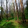 @ЯванЯванов-ъ6й