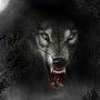 @usalonewolfful
