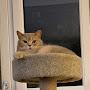 @massimofrancese6320