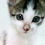 @ZZ-mq8ck