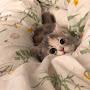 @netcat22