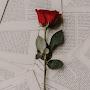 @Anna-bn5wx