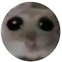 @Mudkip-w7b
