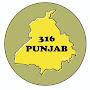 @316punjab