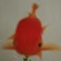 @ProFishinalTWO