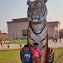 @bramhanandyadav8506