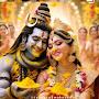 @the_pradeep_8876