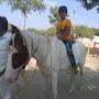 @dhirajprajapati1049