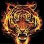 @Tiger-uk6es