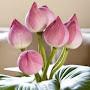 @aa.abundance