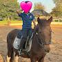 @Harlow_Showjumping