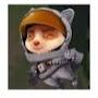 @티모-h9o