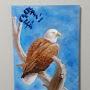 @Aaa345-dse