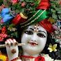 @sunitashukla6674