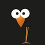 @Bird22