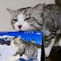 @cat0524-s7t