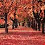 @jameelshaikh5471