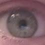 @prof.dr.med.dlloide9681
