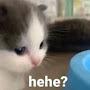 @Midnight_Arises