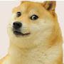 @Armored_doge