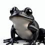 @The_Random_Toad