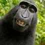 @chunkymonkeyzzz-e6jaa