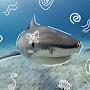 @SillyShark_underdasea