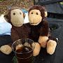 @monkeyfoodgarden