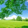 @अनुज8025