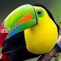 @waltersuares9906