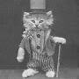 @LittlePhizDorrit