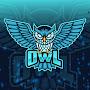 @owl-gamingmusic8794