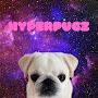 @hyperpugzgaming