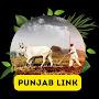 @PunjabLink6067