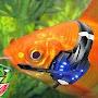 @bassprogaming4969