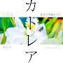 @ShiroArashi2187