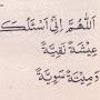 @noormohammed5420